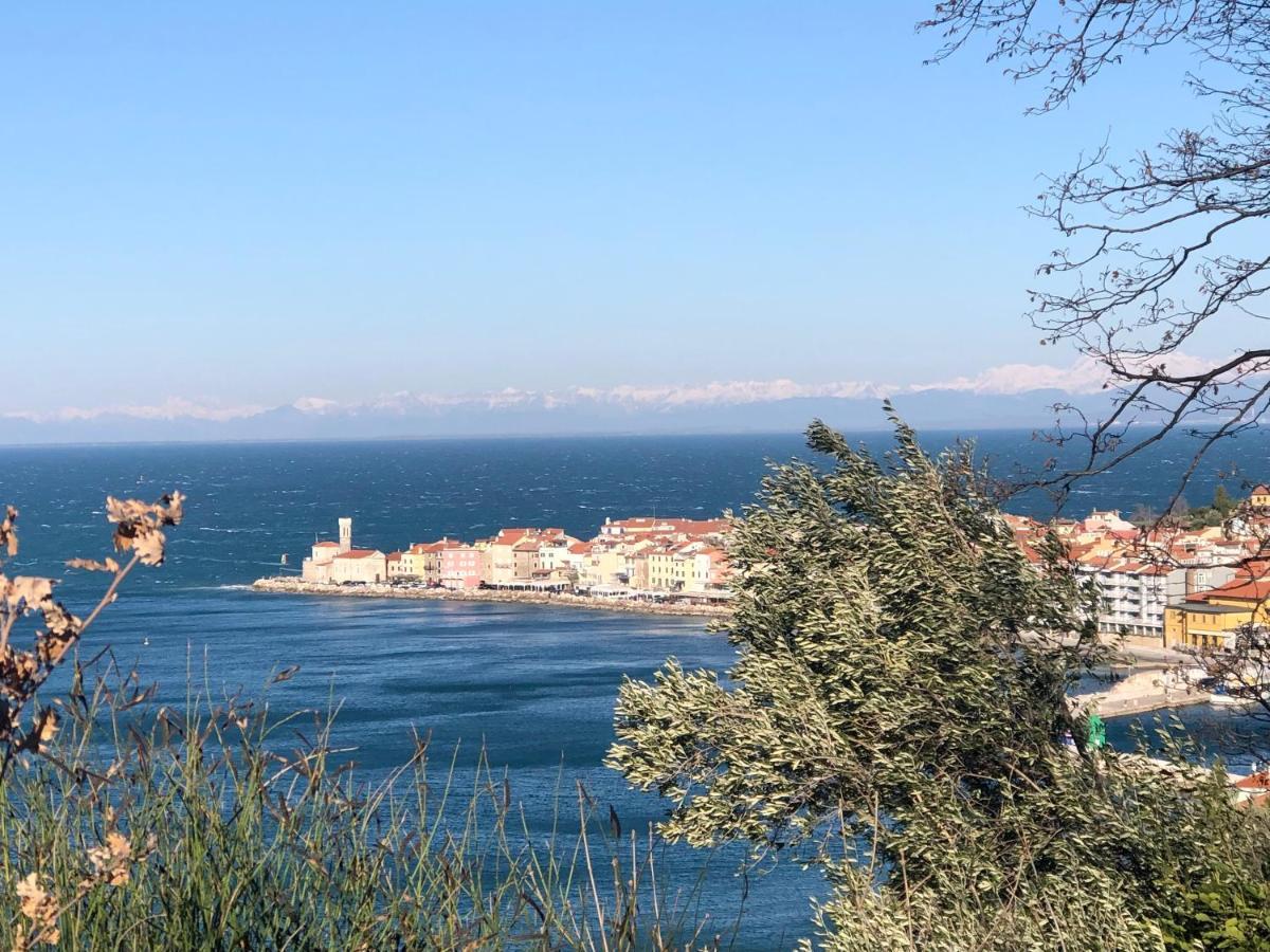 Apartment Modrin Piran Exterior photo